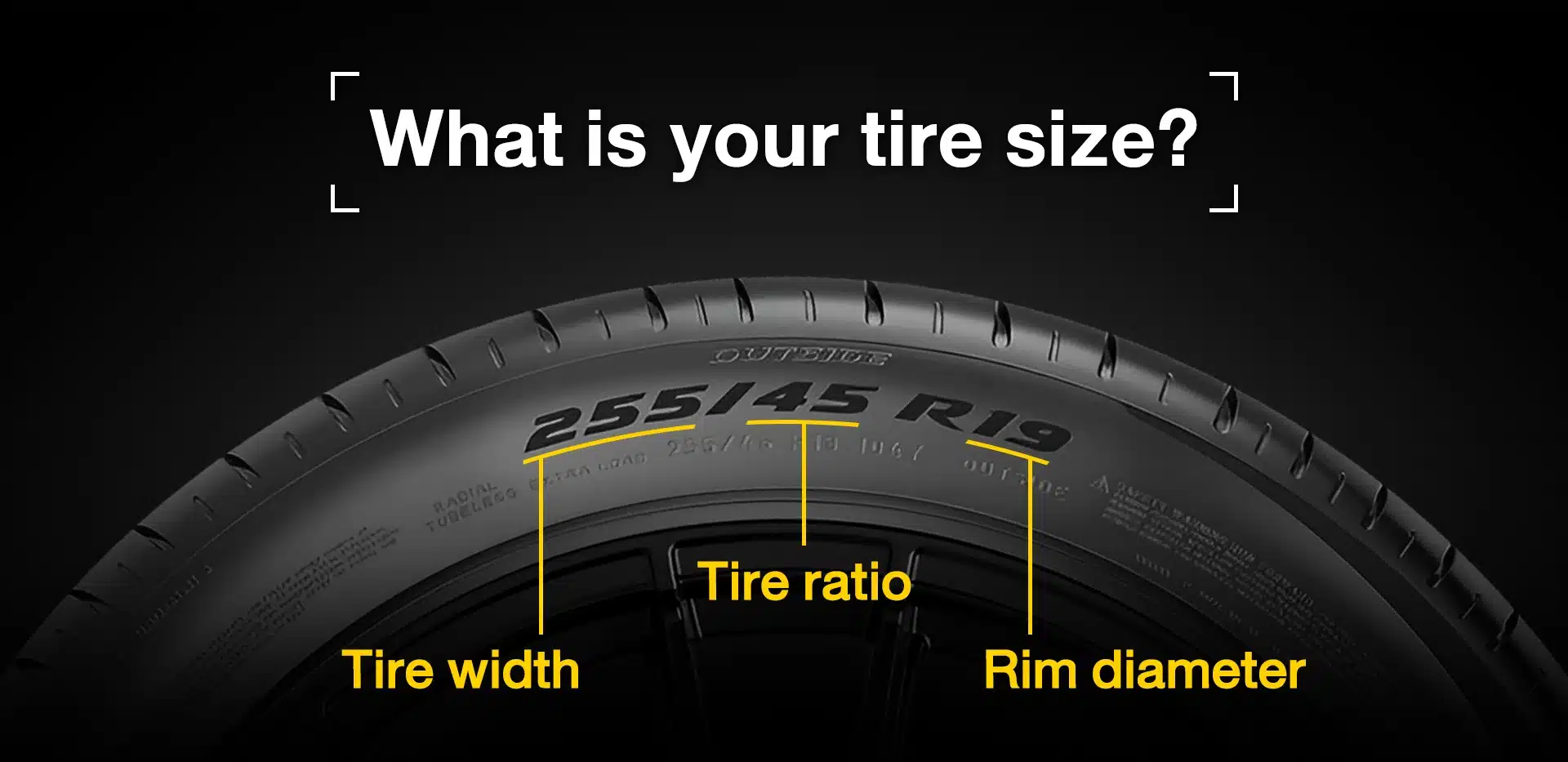 Pirelli search by tire size