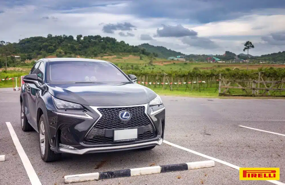 รถยนต์สันดาป