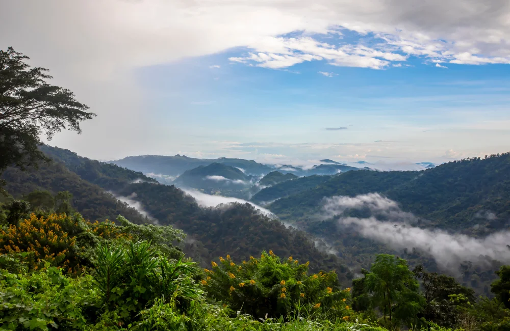 อุทยานแห่งชาติเขาใหญ่